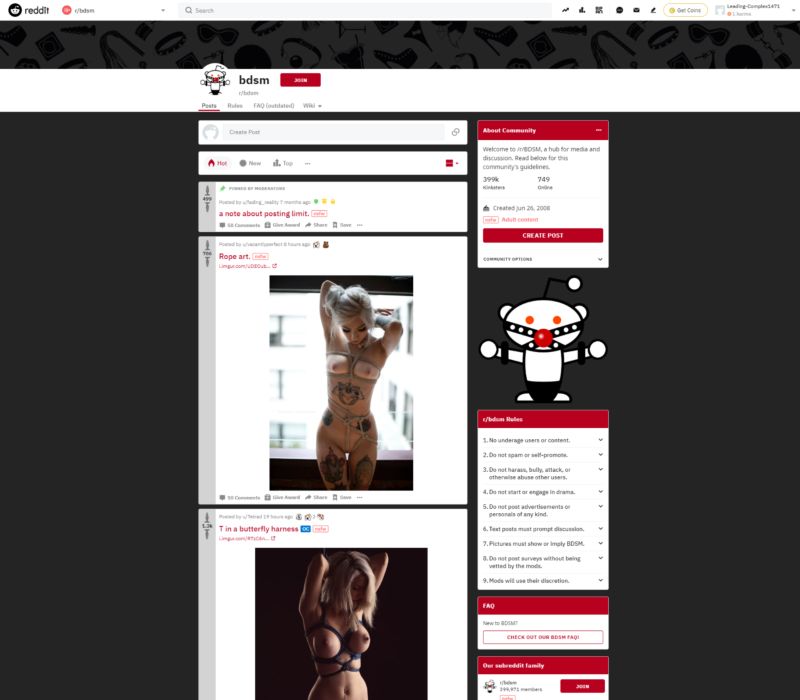 r-BDSM review NSFW Reddit List